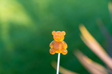 Load image into Gallery viewer, Honey Bear Lollipops (12 Pieces)