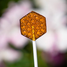 Load image into Gallery viewer, Honeycomb Lollipops (40 Pieces)