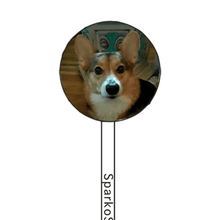 Load image into Gallery viewer, FALSE