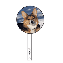 Load image into Gallery viewer, FALSE