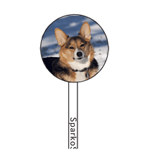 Load image into Gallery viewer, FALSE