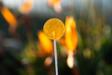 Load image into Gallery viewer, Honey Lollipops (40 Pieces)
