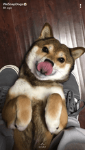 Load image into Gallery viewer, Custom Product Design
